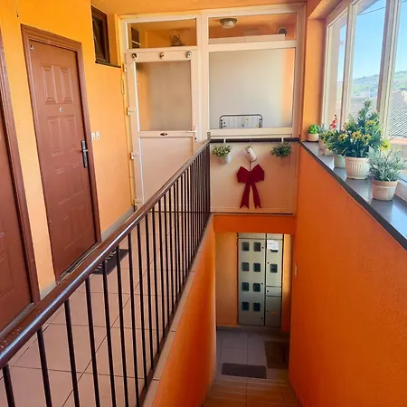 Apartman Ardianito 公寓